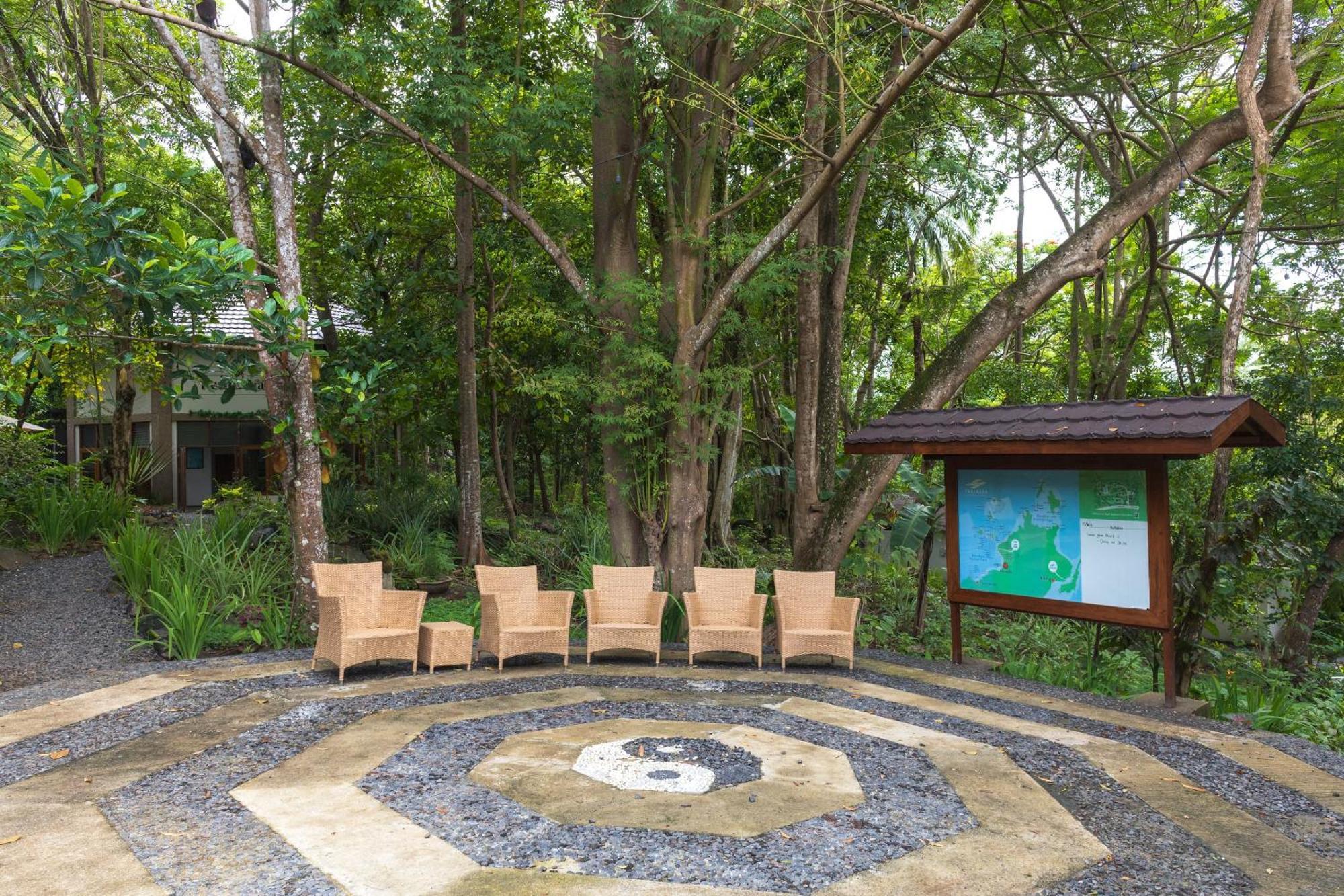 Resort Thalassa Dive & Wellbeing
